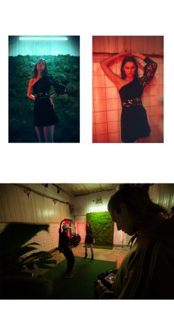 gallery-image-3